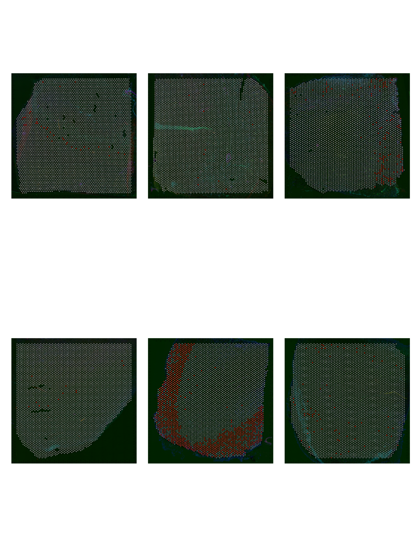 Cell Group 9 distribution