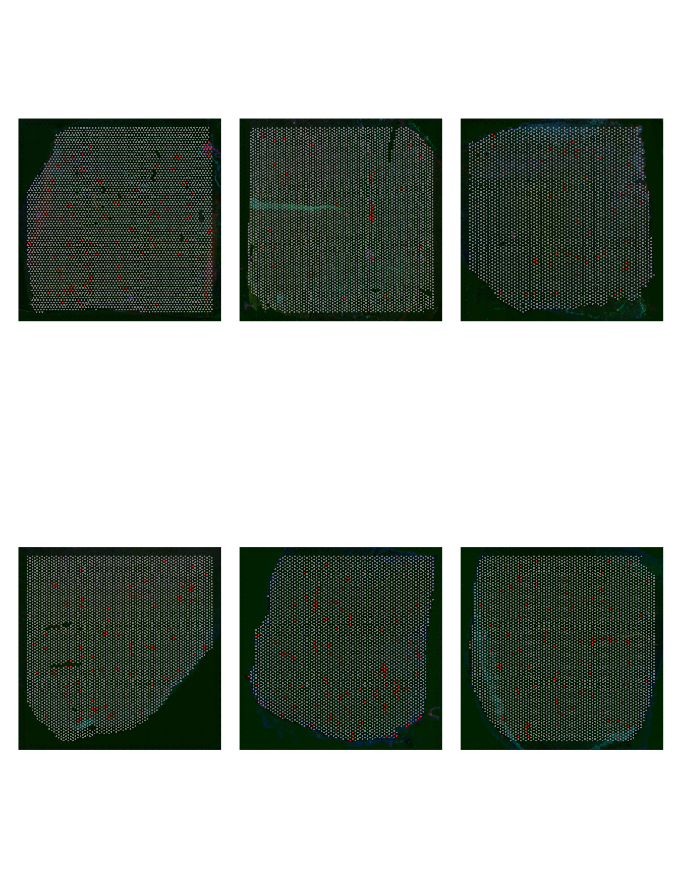 Cell Group 10 distribution