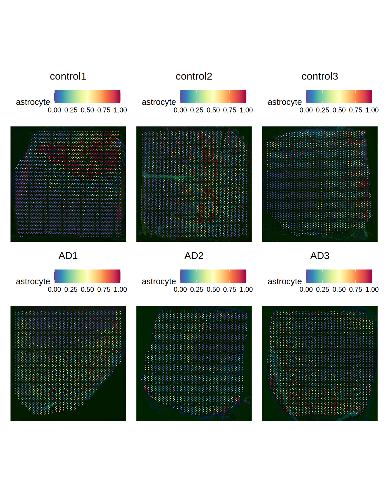Predicted astrocytes