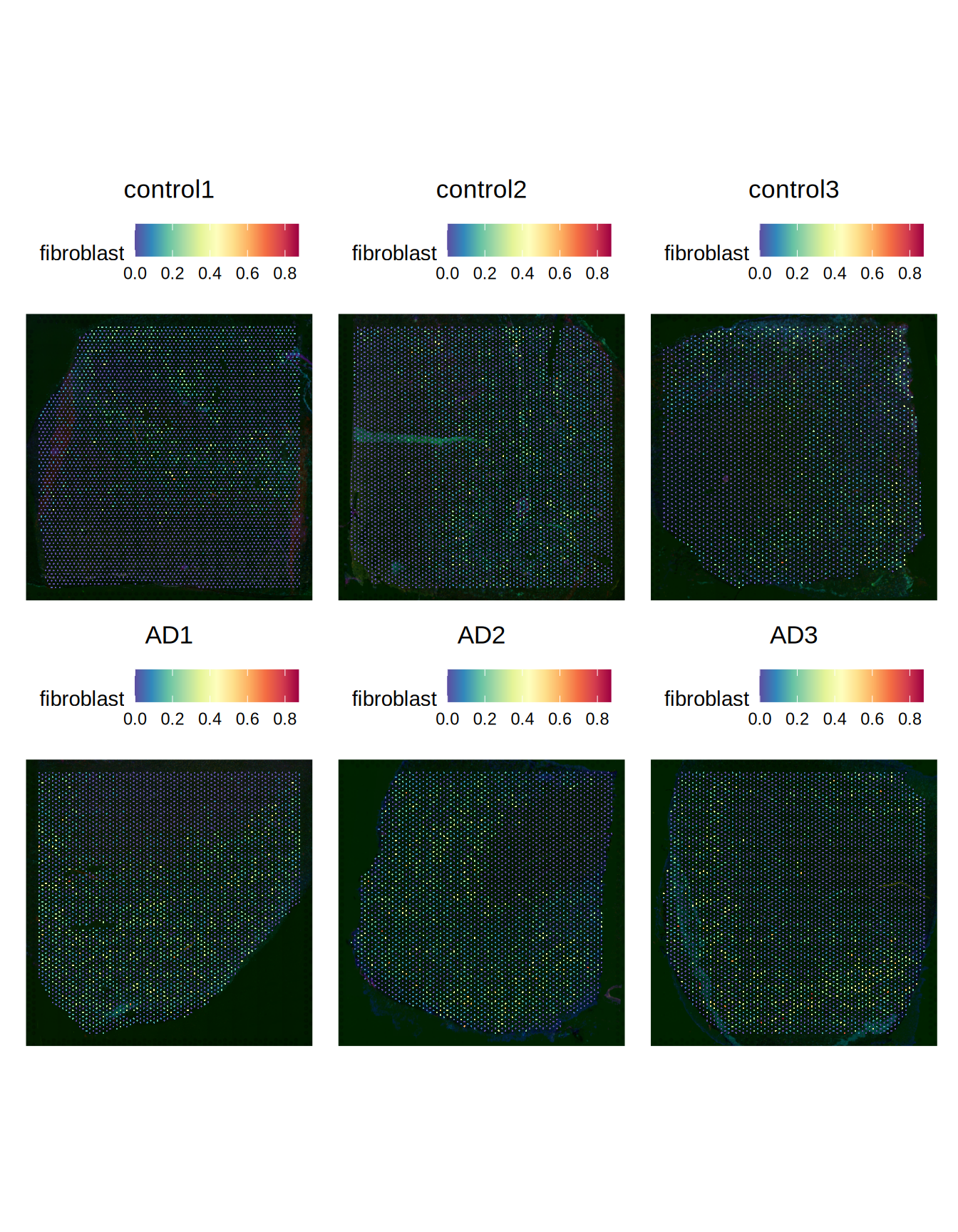 Predicted fibrolasts