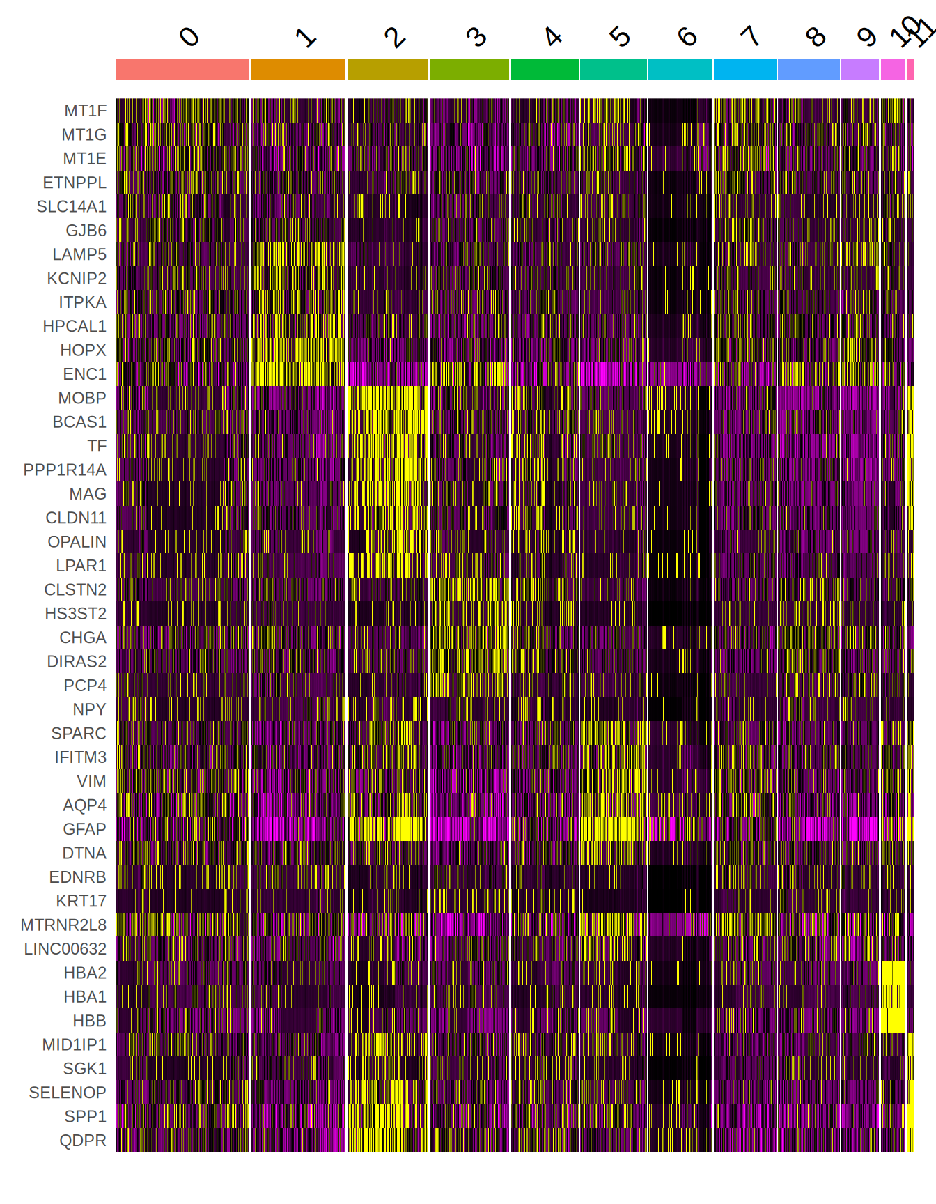 Top markers heatmap