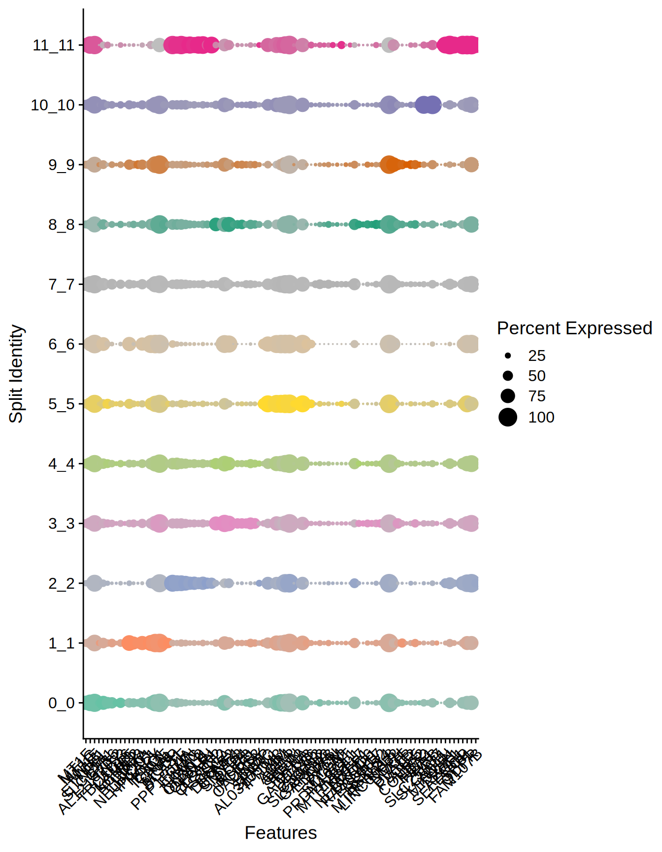 Dotplot top markers per cluster
